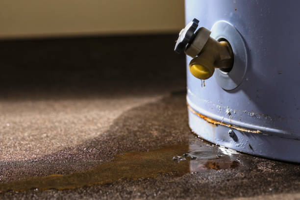 Best Water damage contractors near me  in Blossom, TX