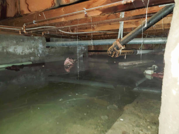Best Water damage restoration insurance claims  in Blossom, TX