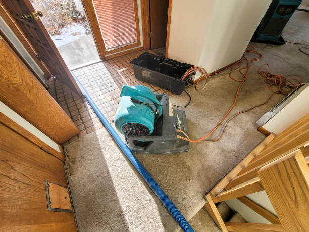 Best Residential water damage restoration  in Blossom, TX