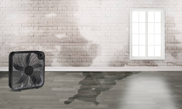Best 24/7 water damage repair  in Blossom, TX