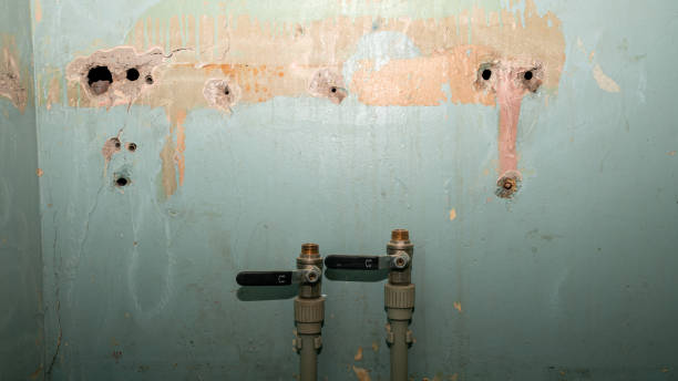 Best Flood restoration services  in Blossom, TX