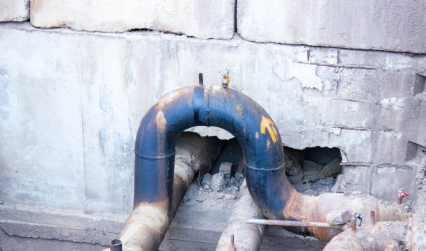 Best Local water damage restoration  in Blossom, TX