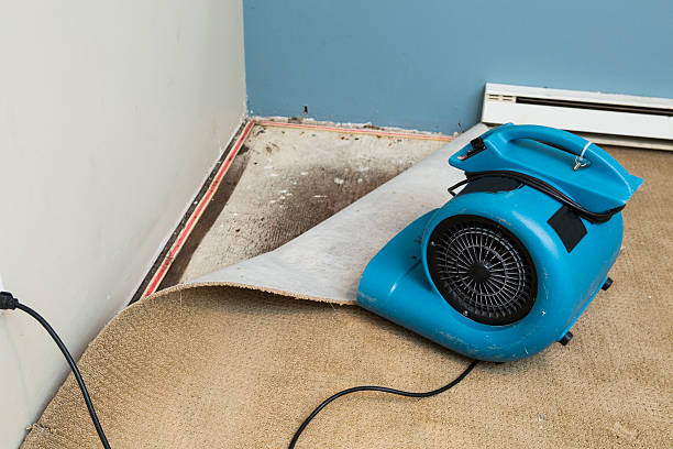 Water damage restoration insurance claims in Blossom, TX
